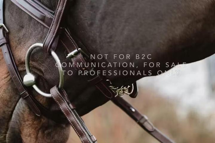 Actual product image Dy'on 5/8" Chain