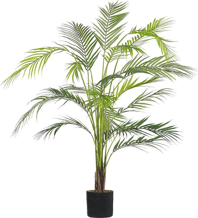 Immagine prodotto Beliani Areca Palm (124 cm)