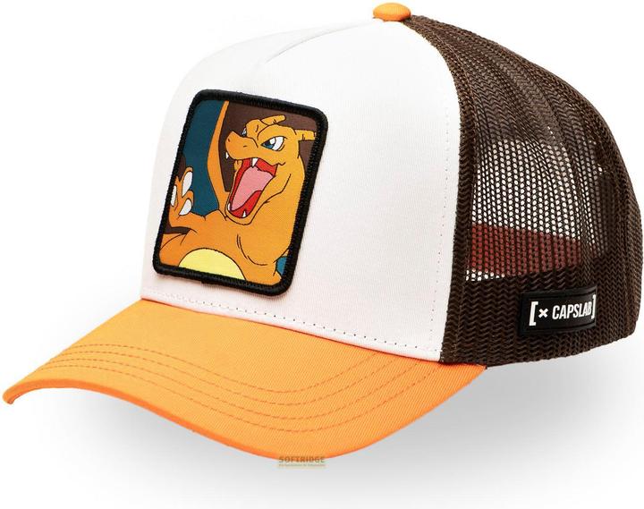 Actual product image Capslab Pokemon - Charizard - U size