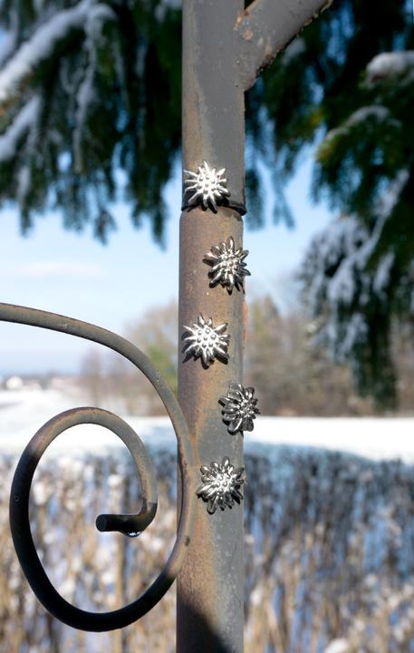 Produktbild Trendform Edelweiss (5x)