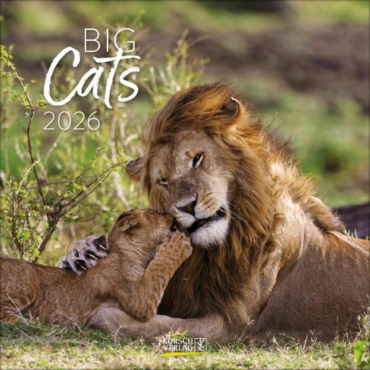 Produktbild Big Cats 2026