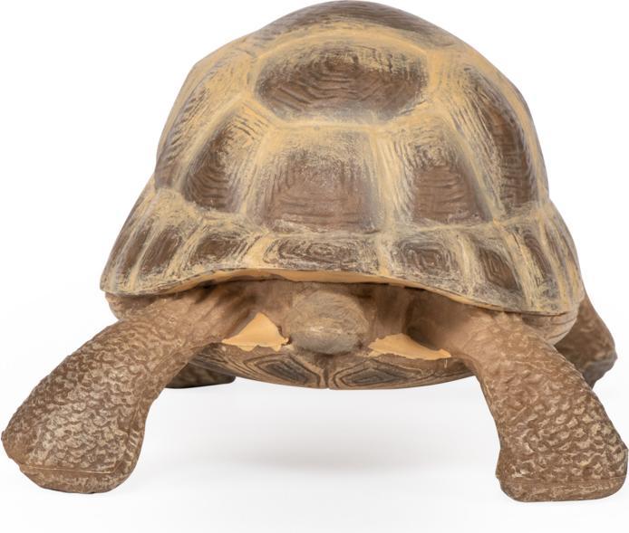 Immagine prodotto Papo Tartaruga di Hermann