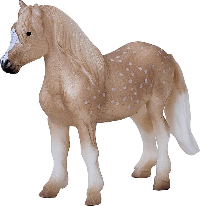 Image du produit Mojo Welsh poney