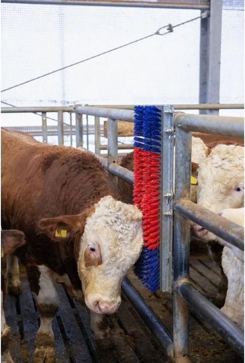 Actual product image Kerbl Scratch (90 cm)