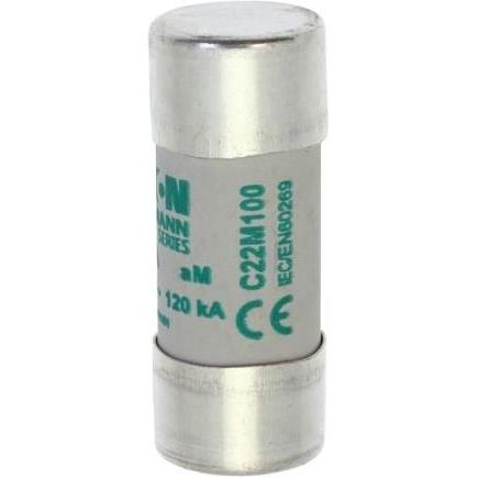 10x Bussmann, Sicherung, CYLINDRICAL FUSE 22 x 58 100A AM 500V AC (Feinsicherung, 100 A)