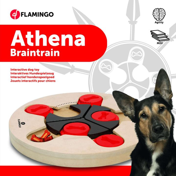 Actual product image Karlie Wooden Brain Train Athena (Intelligence toy dog)