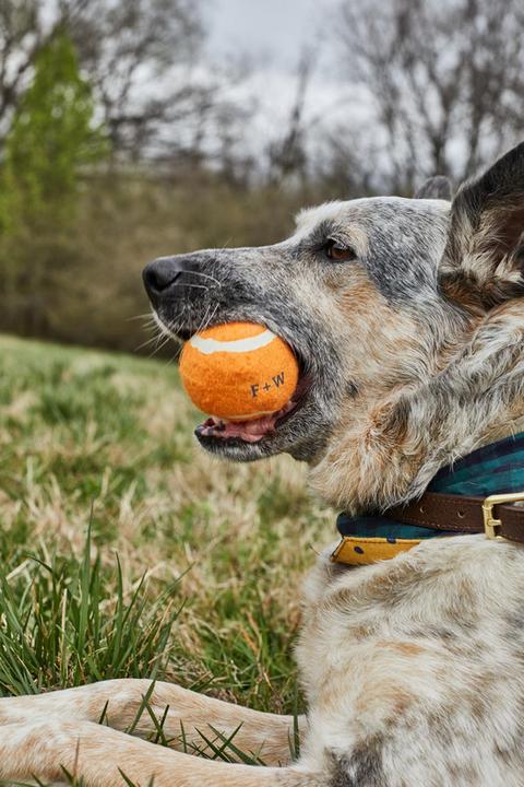 Immagine prodotto Field + Wander Confezione da 3 palline da recuperare (Palla giocattolo per cani)
