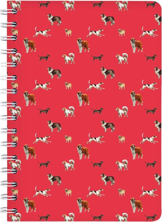 Immagine prodotto Cedon Raccoglitore ad anelli A5 BELLO (A5, Quadretti)