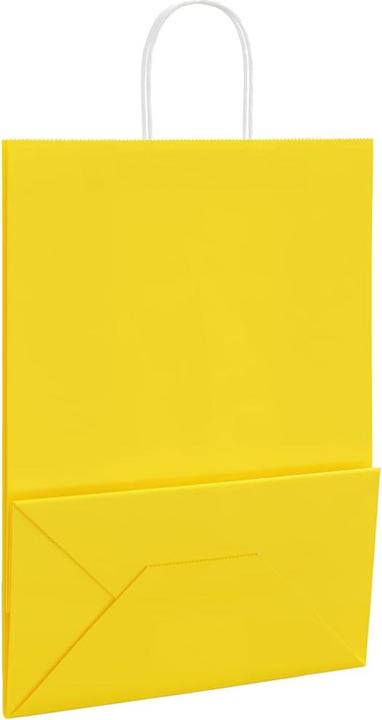 Actual product image vidaXL Papiertragetasche (250x)