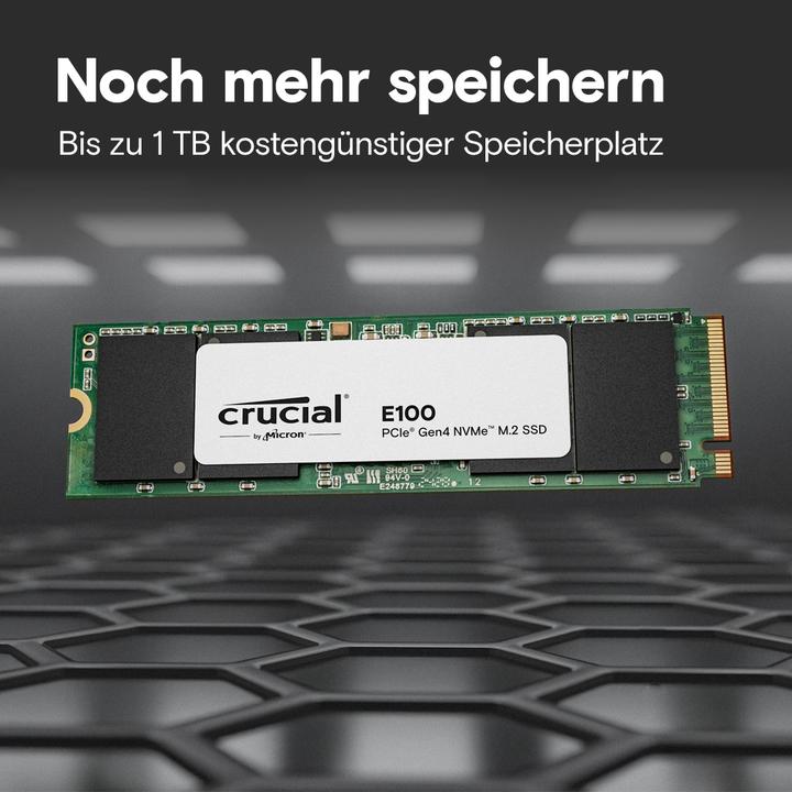 Actual product image Crucial E100 (1000 GB, M.2 2280)
