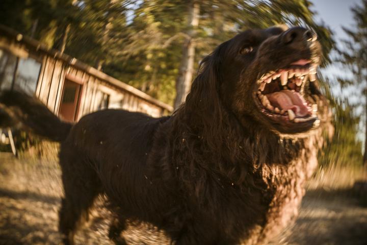 Image du produit Lensbaby Trio 28 Fuji X (Fujifilm X, APS-C / DX, Micro Four Thirds, Plein format)