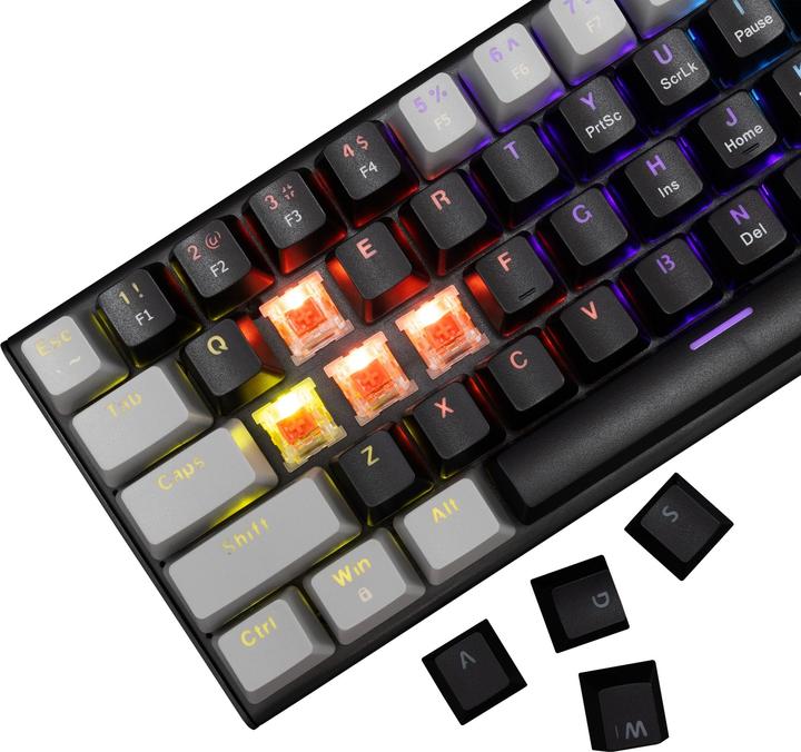 Actual product image White Shark Computer keyboard GK-002111V2 Wakizashi Black-Grey US Red Switches (US, Cable)