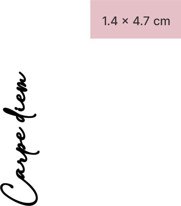 minink Temporäres Tattoo – Carpe diem