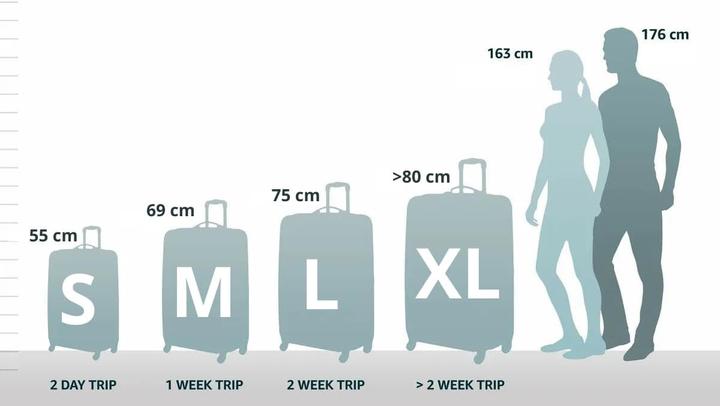 Actual product image Samsonite S'CURE SPINNER 81/30 (138 l)