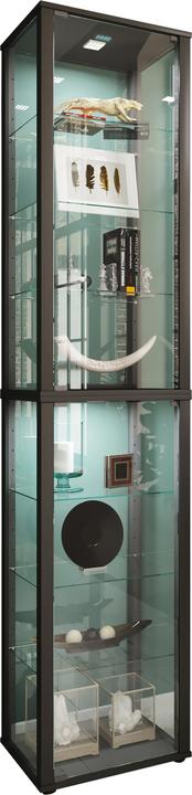 Produktbild VCM Sammel Stand Vitrine Holz Glas Kavis XL (227 x 50 x 38 cm)