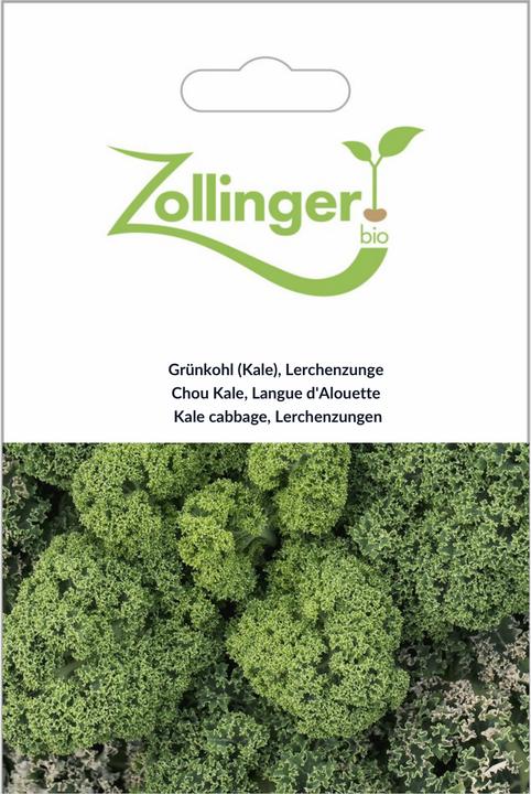 Zollinger Bio Federkohl (Palmkohl), Lerchenzunge (Keimlinge)