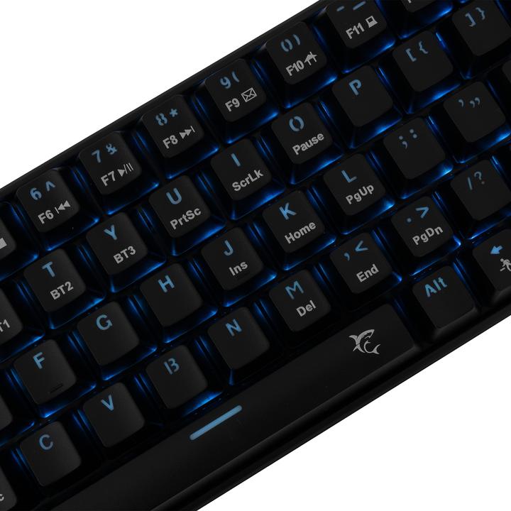 Actual product image Shark Premium Line GK-003111 Kaiken US (US, Cable)