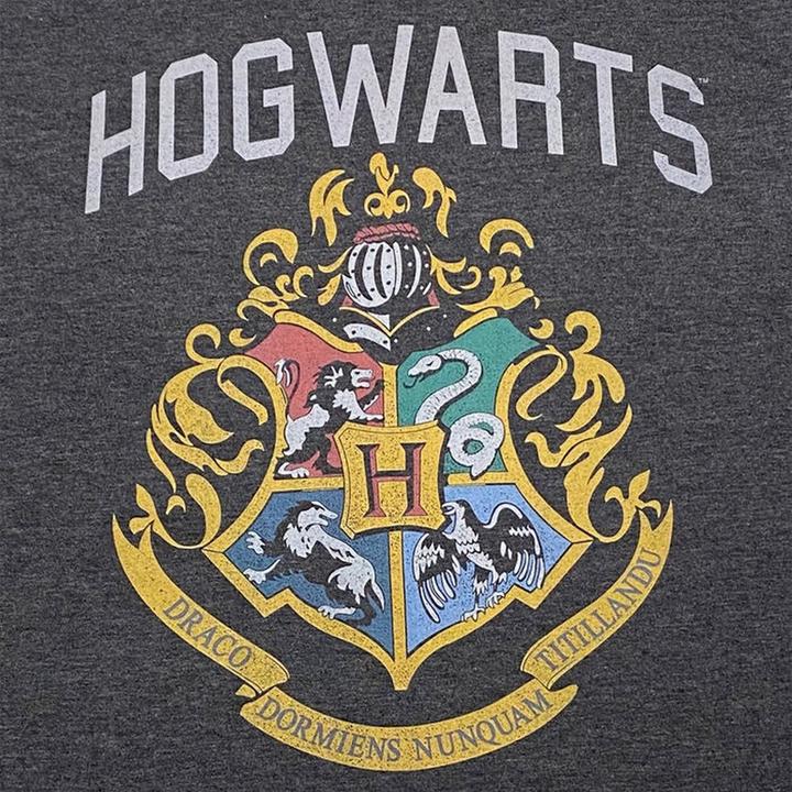 Produktbild Hogwarts TShirt (L)