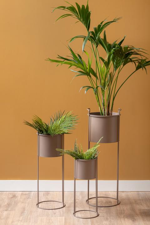 Produktbild present time Essence (28 x 80 cm)