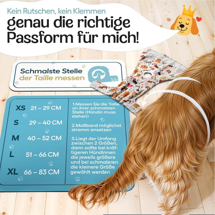 Image du produit Hund ist König 3 x Hundewindeln (52, 54, 55, 60, 61, 65)