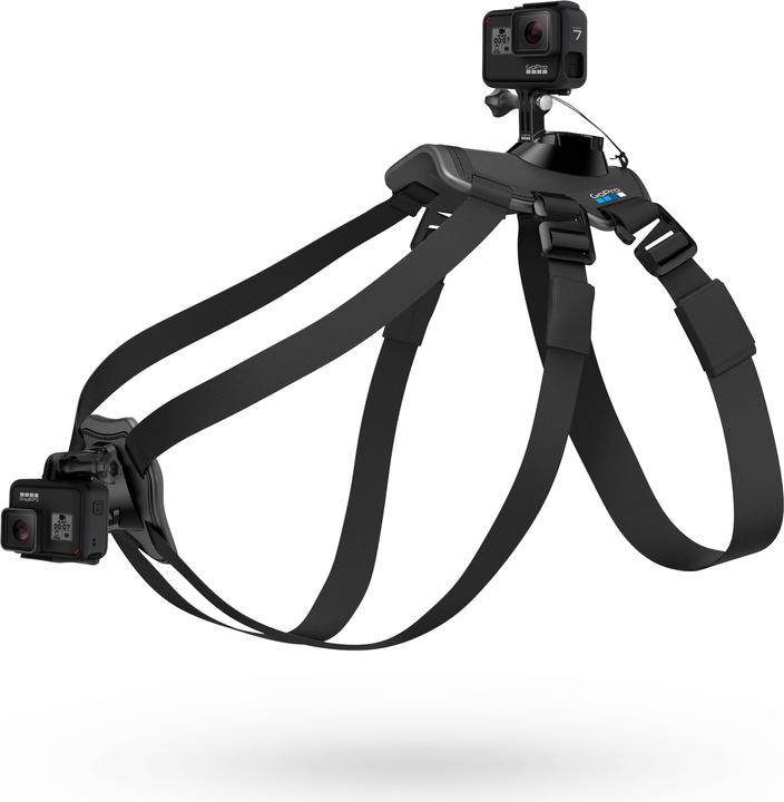 Immagine prodotto GoPro Imbracatura per cani Fetch (Universale, Eroe 7, Azione Osmo)
