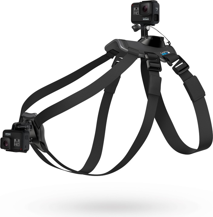 Image du produit GoPro Fetch harnais pour chien (Universel, Héros 7, Action Osmo)