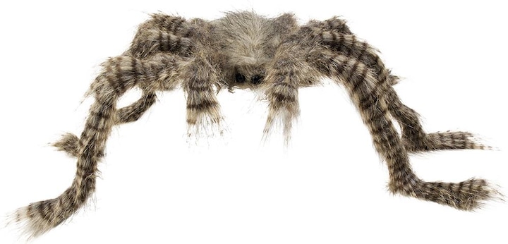 Boland Araignée dure