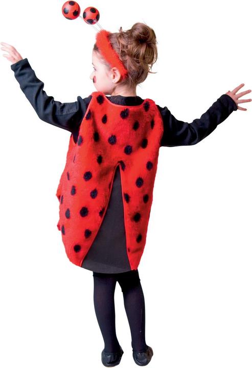 Actual product image Festartikel Müller Ladybug (104)