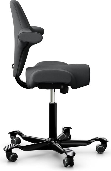 Actual product image HAG Capisco 8106 Select