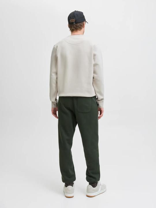 Actual product image Jack & Jones Jjesoho Sweat Crew Neck Noos (M)