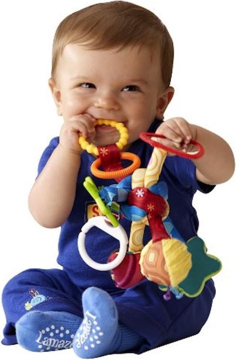 Actual product image Tomy Lamaze Trek and Play Activities Button