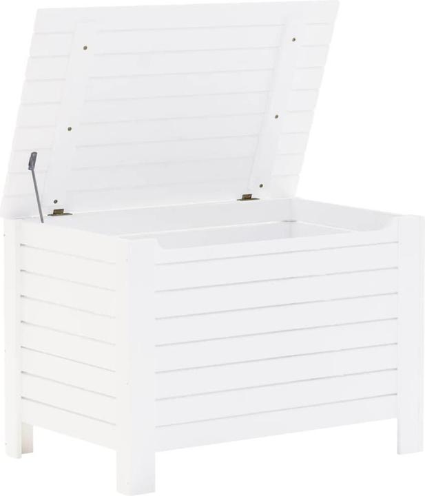 Actual product image vidaXL Truhe (49 cm, 1x)