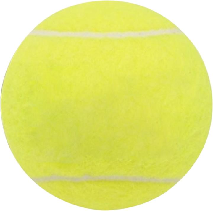 Immagine prodotto Dunlop Fort All Court