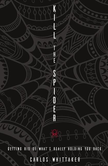 Produktbild Kill the Spider (Englisch, 2017)