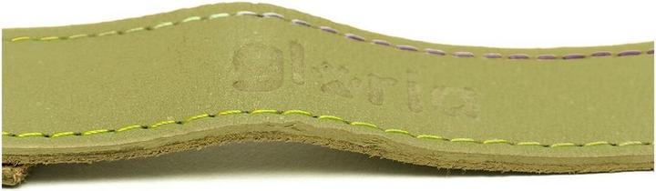 Produktbild Gloria Hundeleine Oasis 1.5 x 100 cm grün (Hund, Hundesport)