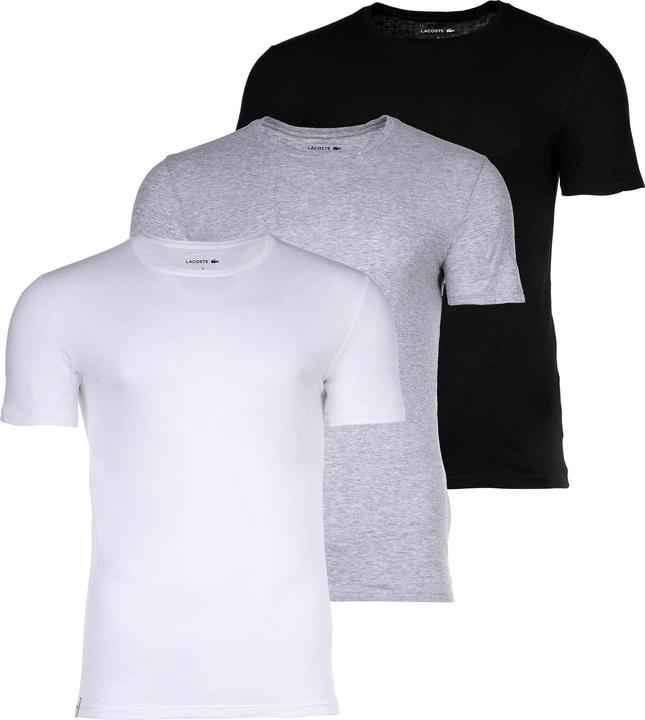 Image du produit Lacoste T-shirt ajusté (L)