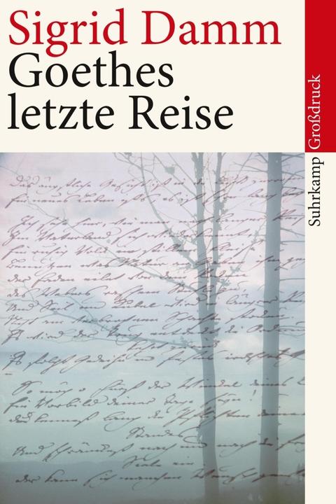 Produktbild Goethes letzte Reise (Deutsch, Sigrid Damm, 2010)
