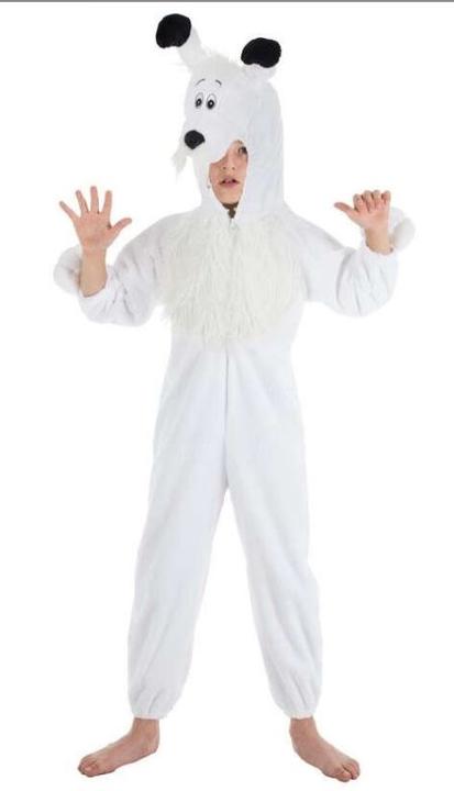 Image du produit Chaks Costume d'enfant Idéfix (116)