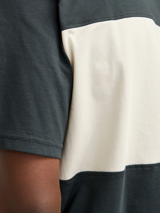 Produktbild Jack & Jones Jorvesterbro Block Tee Ss Crew Styd Aw24 (L)