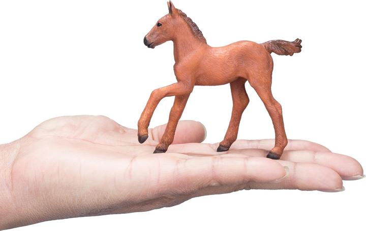 Image du produit small foot Poulain arabe Chestnut