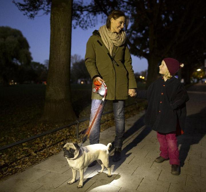 Actual product image Flexi LED Lighting System z akumulatorkiem kol. czarny (S, M, L, Dog, General)