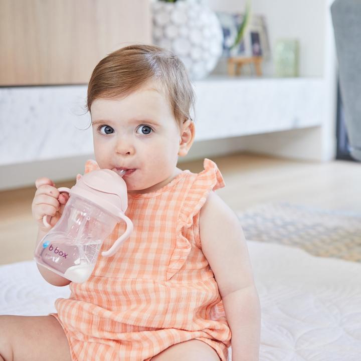 Produktbild B.Box Sippy Cup