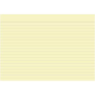 Exacompta, Karteikarten, Karteikarten (148 x 210 mm, 205 g/m², 100 x)