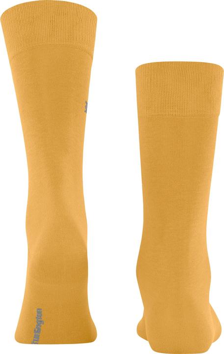 Produktbild Burlington Dublin (Einzelpack, 40 - 46)