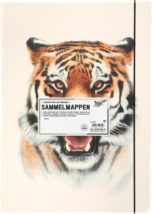 Produktbild Folia Zeichnungsmappe BASIC "Roaring Tiger", Karton, DIN A3 (A3)