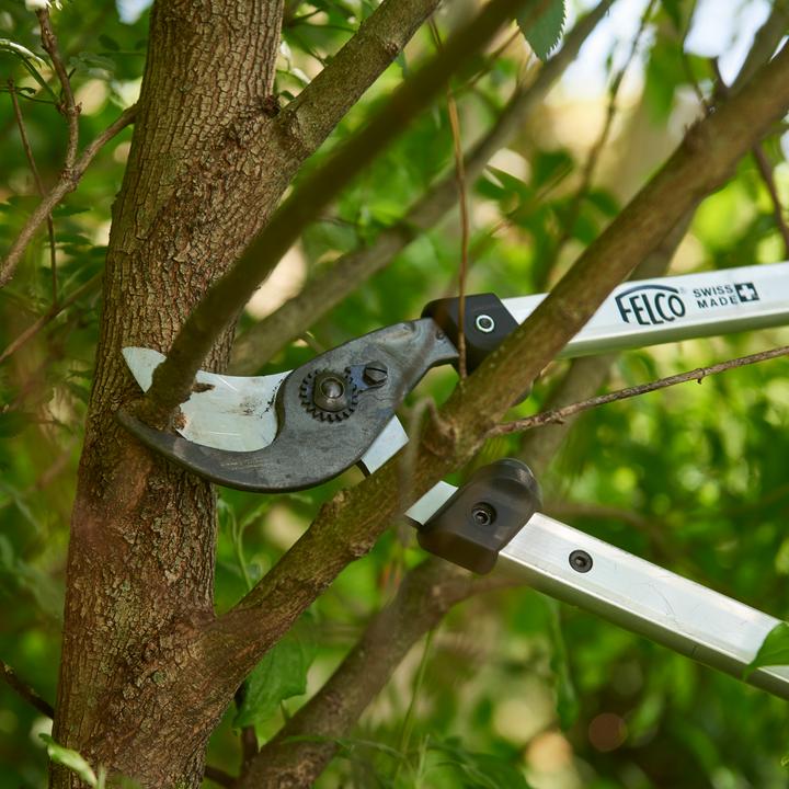 Image du produit Felco 211-50 Élagueur 50 cm