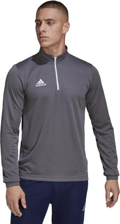 Actual product image Adidas Entrada 22 training jumper men (S)
