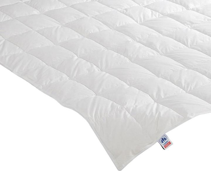 Produktbild Irisette Daunensteppbett Nora leicht (280 g, 155 x 200 cm)