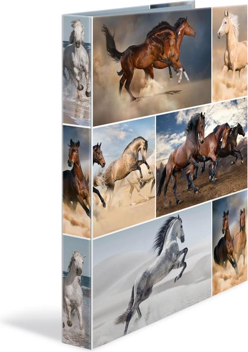 Produktbild HERMA Ringbuch A4 Motiv (A4, 35 mm, 1 Stk.)