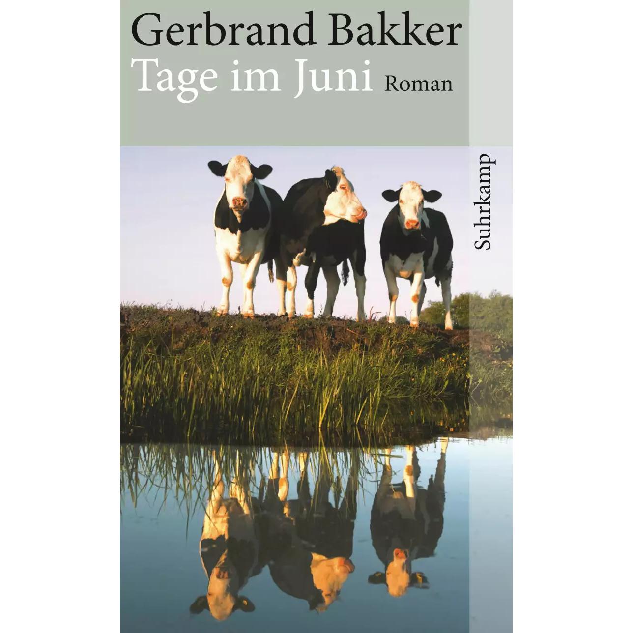 Thumbnail - Tage im Juni, Belletristik von Gerbrand Bakker